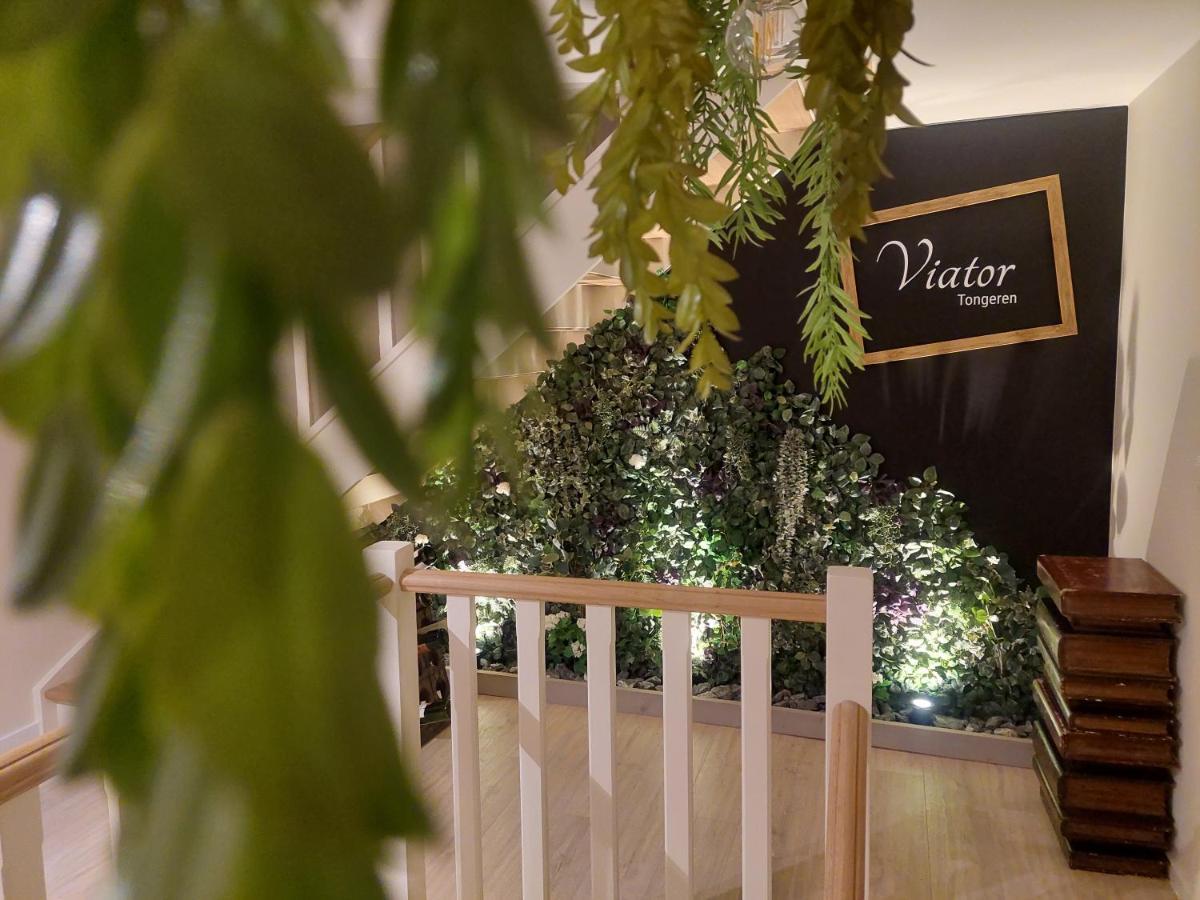 Viator Tongeren Bed & Breakfast Ngoại thất bức ảnh